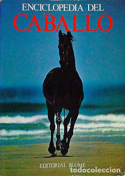 Libros: Enciclopedia del caballo - vvaa - Foto 1