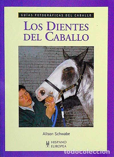 Libros: Los dientes del caballo - Alison Schwabe