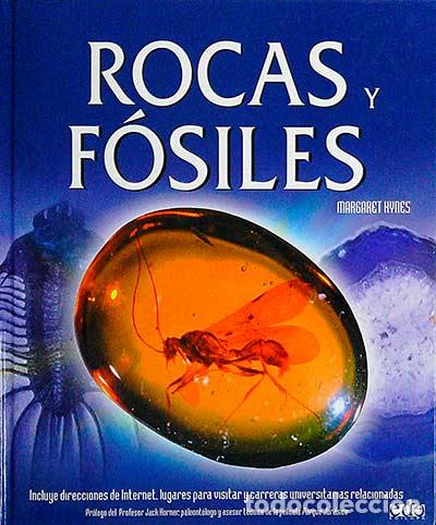Libros: Rocas y f&oacute;siles - Margaret Hynes - Foto 1