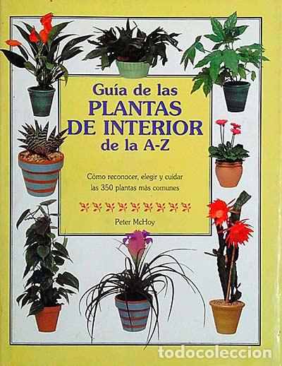 Libros: Gu&iacute;a de las Plantas de Interior de la A-Z - Peter McHoy - Foto 1