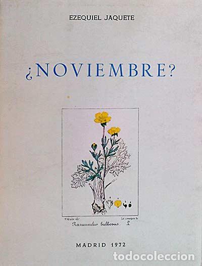 Libros: &iquest;Noviembre? - Ezequiel Jaquete - Foto 1