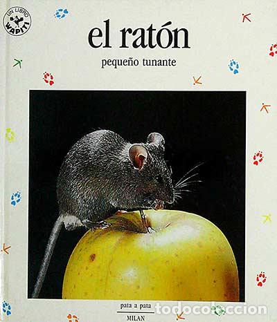 Libros: El rat&oacute;n. Peque&ntilde;o tunante - VVAA - Foto 1
