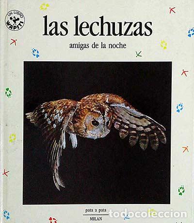 Libros: Las lechuzas. Amigas de la noche - VVAA - Foto 1