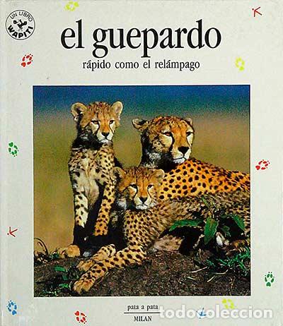 Libros: El guepardo. R&aacute;pido como el rel&aacute;mpago - VVAA - Foto 1