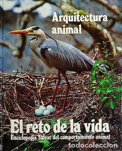 Libros: Arquitectura Animal. El reto de la vida 1 - vvaa - Foto 1