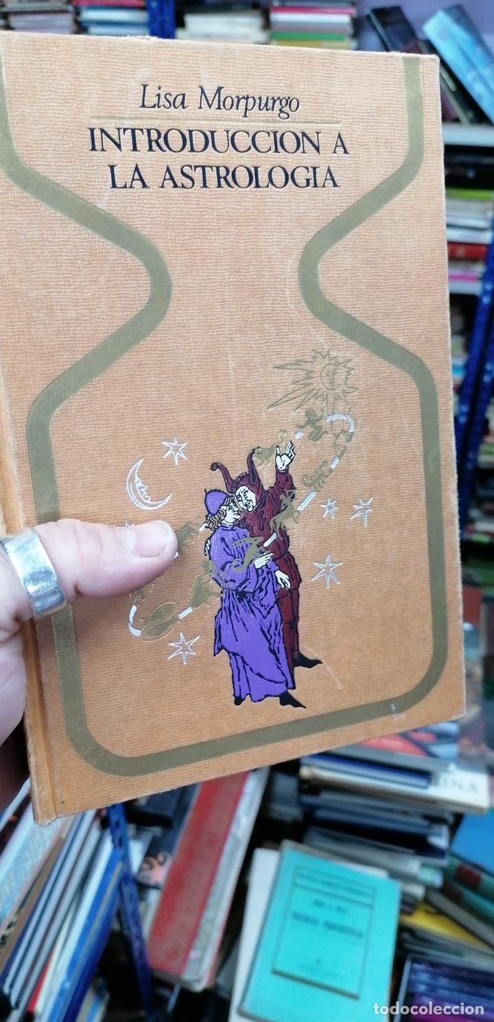 Libros: INTRODUCCI&Oacute;N A LA ASTROLOG&Iacute;A. - MORPURGO, Lisa. - Foto 1