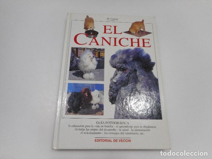 Libros: M. CANTINI    El caniche    Q90W - Foto 1