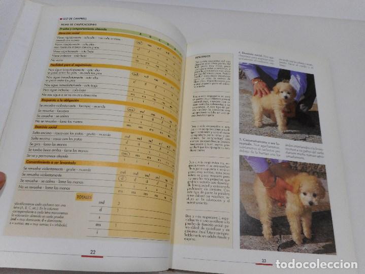 Libros: M. CANTINI    El caniche    Q90W - Foto 2