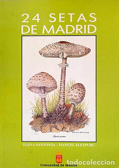 Libros: 24 setas de Madrid - Santonja, Elena / Elexpuru, Manuel - Foto 1