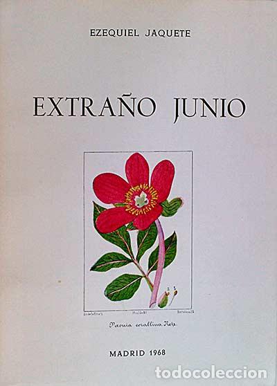 Libros: Extra&ntilde;o junio - Ezequiel Jaquete - Foto 1