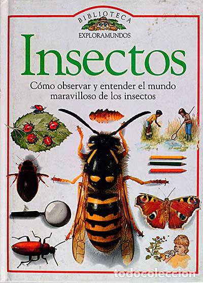 Libros: Insectos - vvaa - Foto 1