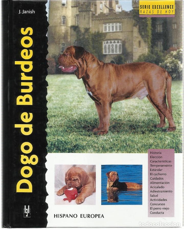 Libros: Dogo de Burdeos. (Janish, Joseph). Hispano Europea 2007 - Foto 1