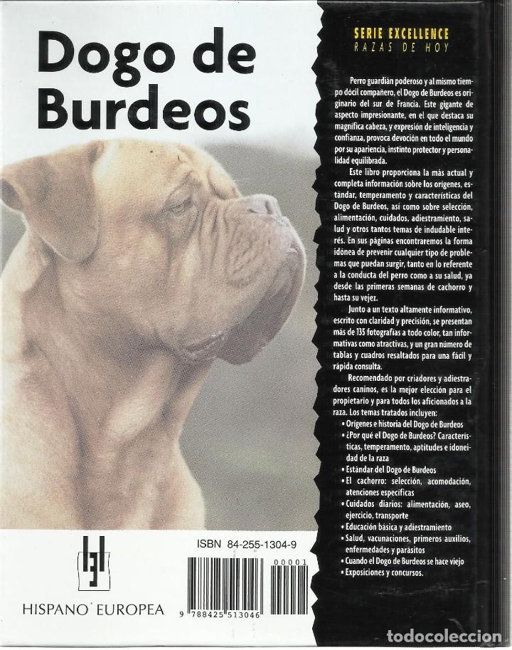 Libros: Dogo de Burdeos. (Janish, Joseph). Hispano Europea 2007 - Foto 2