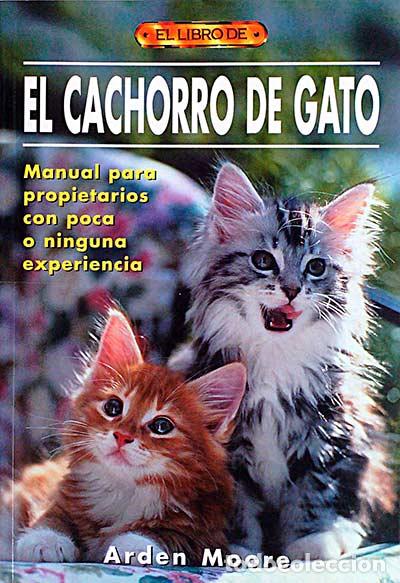 Libros: El cachorro de gato - Arden Moore - Foto 1