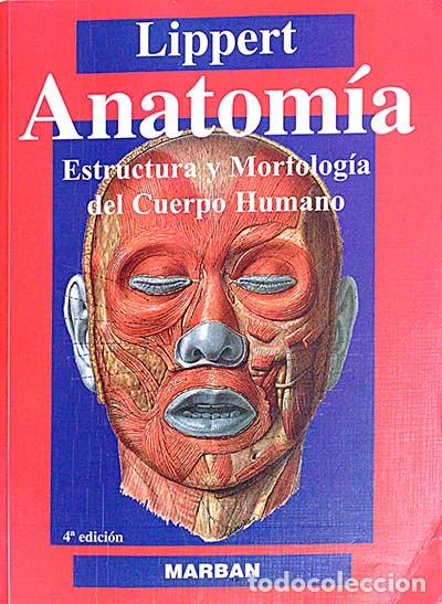 Libros: Anatom&iacute;a - Wolfgang Lippert - Foto 1