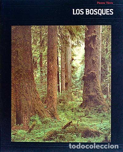 Libros: Los bosques - VV. AA. - Foto 1