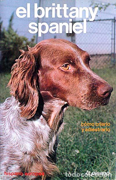 Libros: El brittany spaniel. - B. Pisano - Foto 1