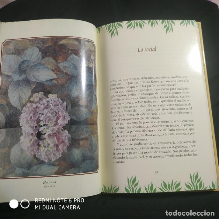 Libros: El Lenguaje de las Flores. -. Aurora S&aacute;nchez Fern&aacute;ndez - Foto 7