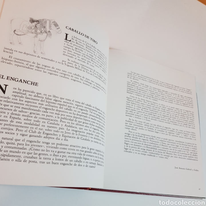 Libros: CABALLOS EN ESPA&Ntilde;A - ED. LUNWERG - Foto 4