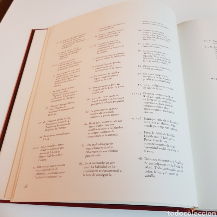 Libros: CABALLOS EN ESPA&Ntilde;A - ED. LUNWERG - Foto 6
