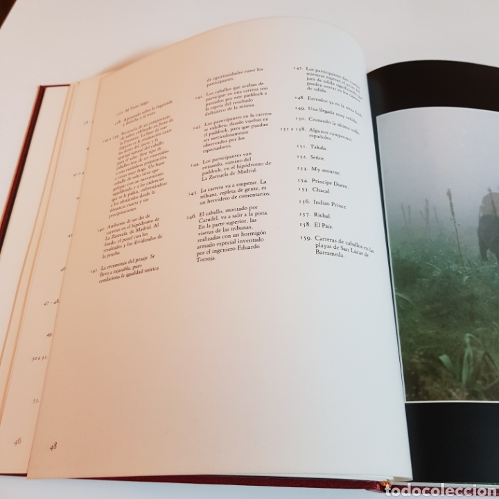 Libros: CABALLOS EN ESPA&Ntilde;A - ED. LUNWERG - Foto 8