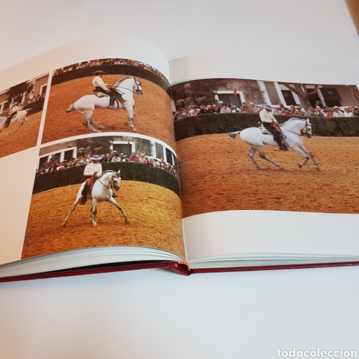 Libros: CABALLOS EN ESPA&Ntilde;A - ED. LUNWERG - Foto 9