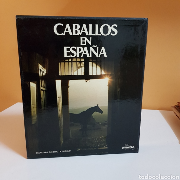 Libros: CABALLOS EN ESPA&Ntilde;A - ED. LUNWERG - Foto 10