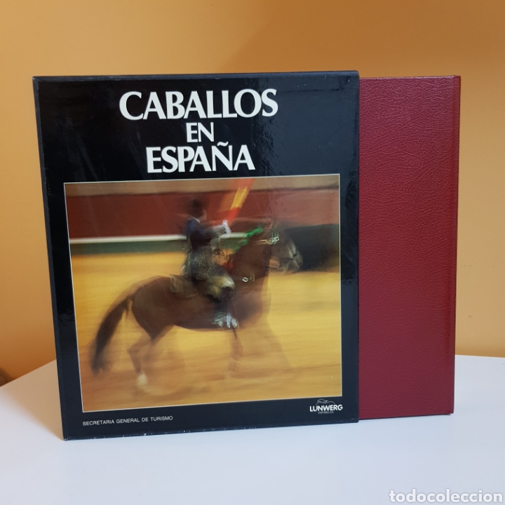 Libros: CABALLOS EN ESPA&Ntilde;A - ED. LUNWERG - Foto 1
