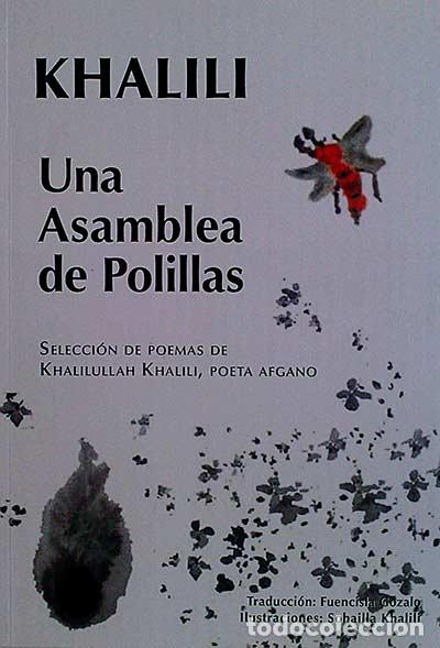 Libros: Una asamblea de polillas - Khalili - Foto 1