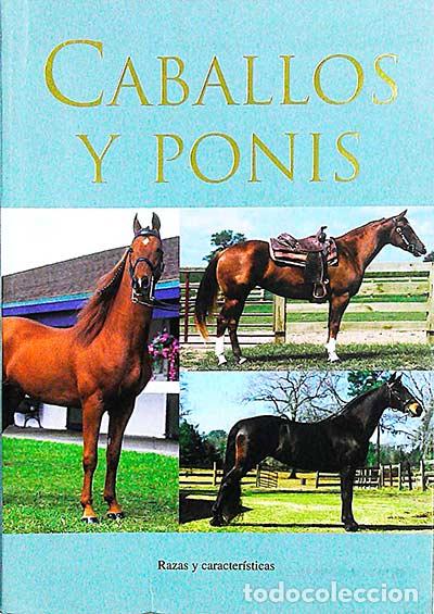 Libros: Caballos y ponis - Corinne Clark - Foto 1