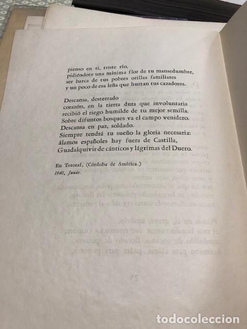 Libros: ALBERTI, Rafael. - De los &aacute;lamos y los sauces. - Foto 3