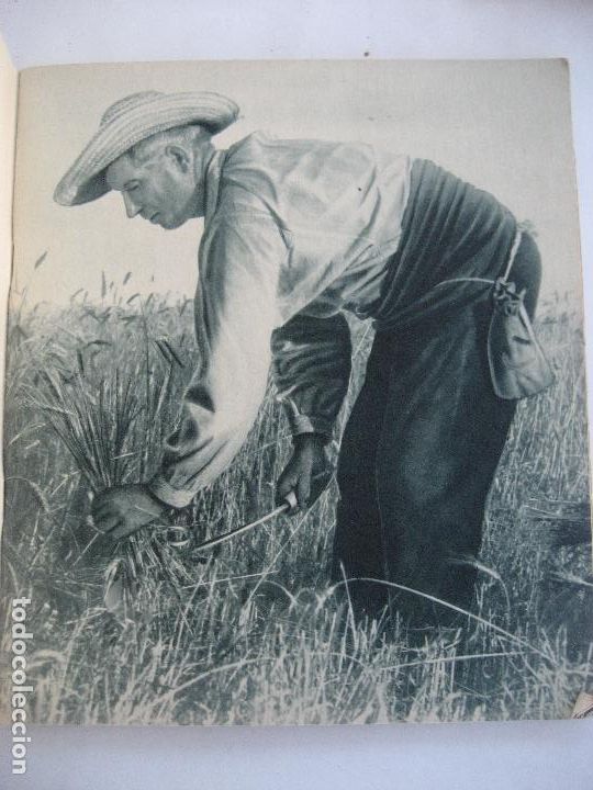 Libros: El Campo Espa&ntilde;ol. Huecograbado Fournier. - Foto 2