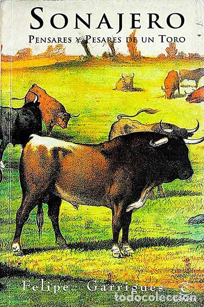 Libros: Sonajero - Felipe Garrigues - Foto 1
