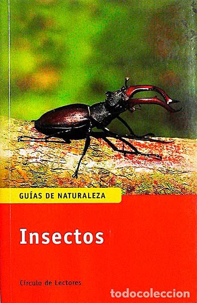 Libros: Insectos - Heiko Bellmann - Foto 1