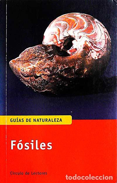 Libros: F&oacute;siles - Gerhard Lichter - Foto 1