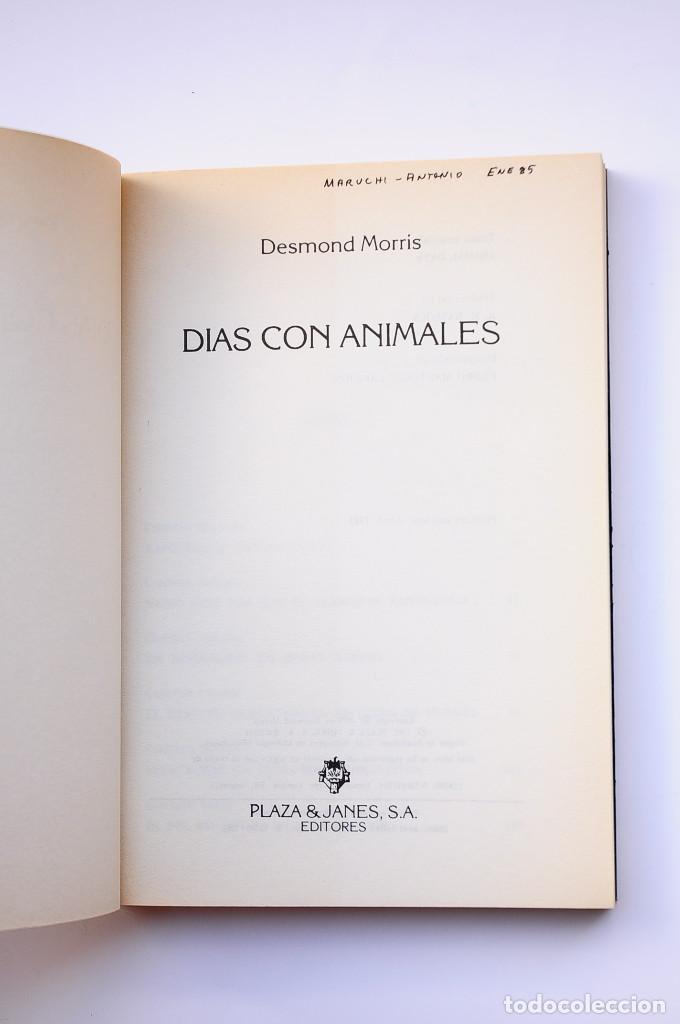 Libros: D&iacute;as con animales - MORRIS, Desmond - Foto 2