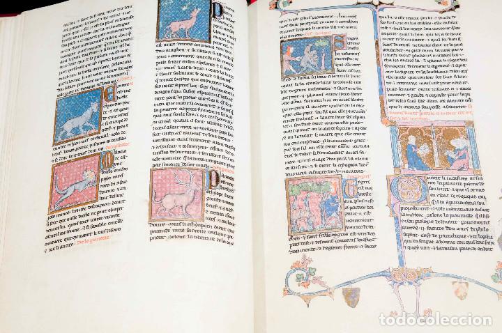 Libros: Libro del Tesoro - Moleiro - Foto 3