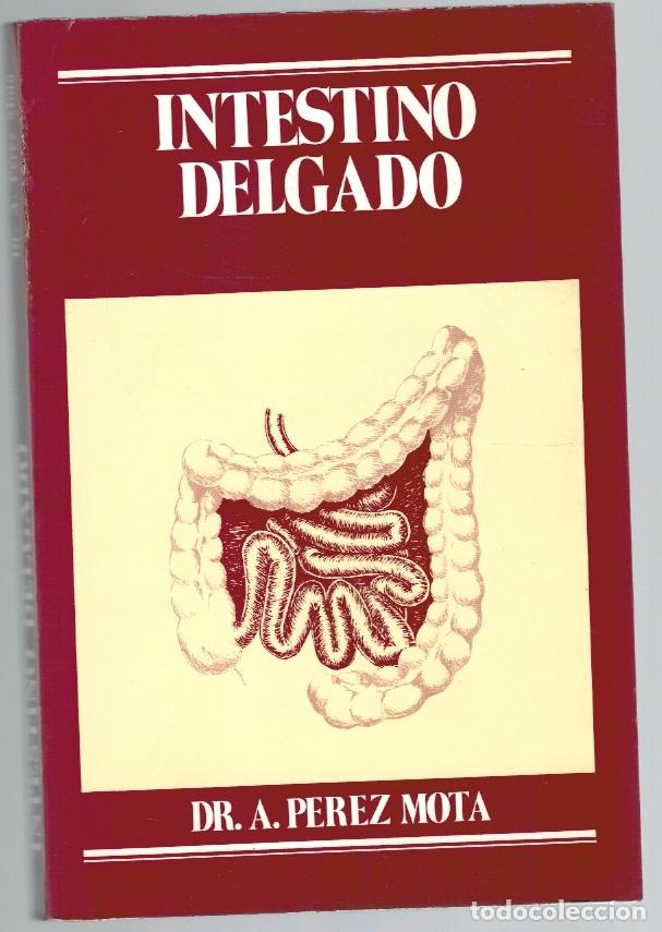 Libros: INTESTINO DELGADO - Dr. A. P&eacute;rez Mota - Foto 1