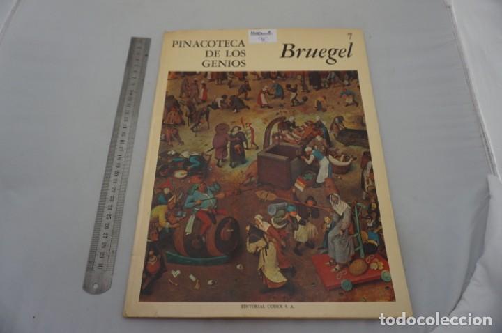 Libros: (--) PINACOTECA DE LOS GENIOS - BRUEGEL / EDITORIAL CODEX - Foto 1