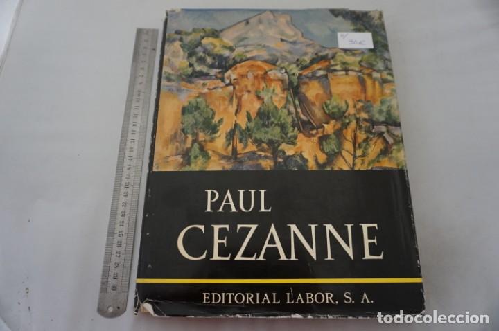 Libros: (--) PAUL CEZANNE - TEXTO DE MEYER SCHAPIRO / EDITORIAL LABOR - CON LAMINAS - Foto 1