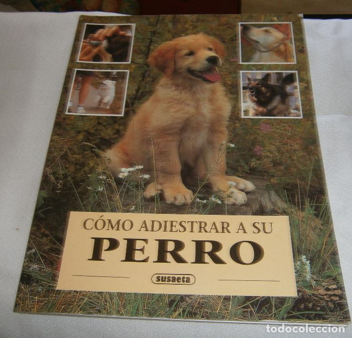 Libros: como adiestrar a su perro editorial susaeta - Foto 1