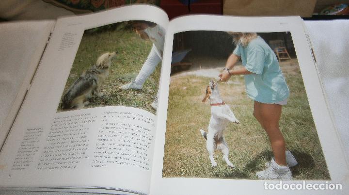 Libros: como adiestrar a su perro editorial susaeta - Foto 2