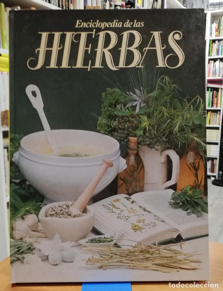 Libros: Enciclopedia de las hierbas - VVAA - Foto 1
