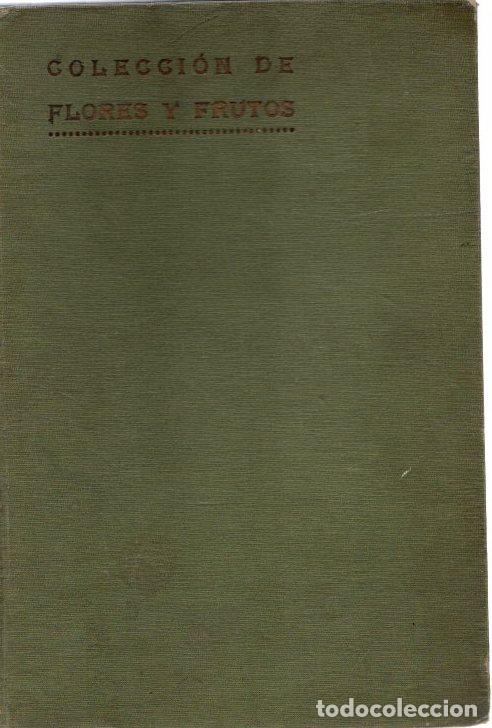 books: Colecci&oacute;n de flores y frutos. A&ntilde;os 1913 (Noviembre). De 1914 a 1920 completos. 1921 (de enero a novi
