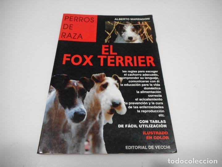 Libros: ALBERTO MARENGONI El Fox Terrier Q662W - Foto 1