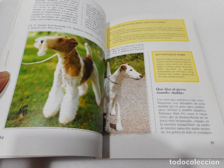 Libros: ALBERTO MARENGONI El Fox Terrier Q662W - Foto 2