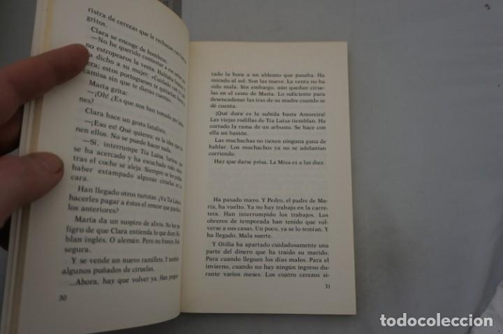 Libros: (9F) MARIA DE AMOREIRA - LUCE FILLOL / EDICIONES SM - Foto 4