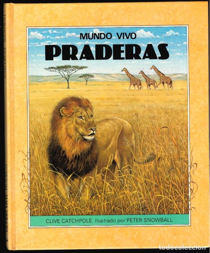 Libros: PRADERAS - Clive Catchpole - Foto 1