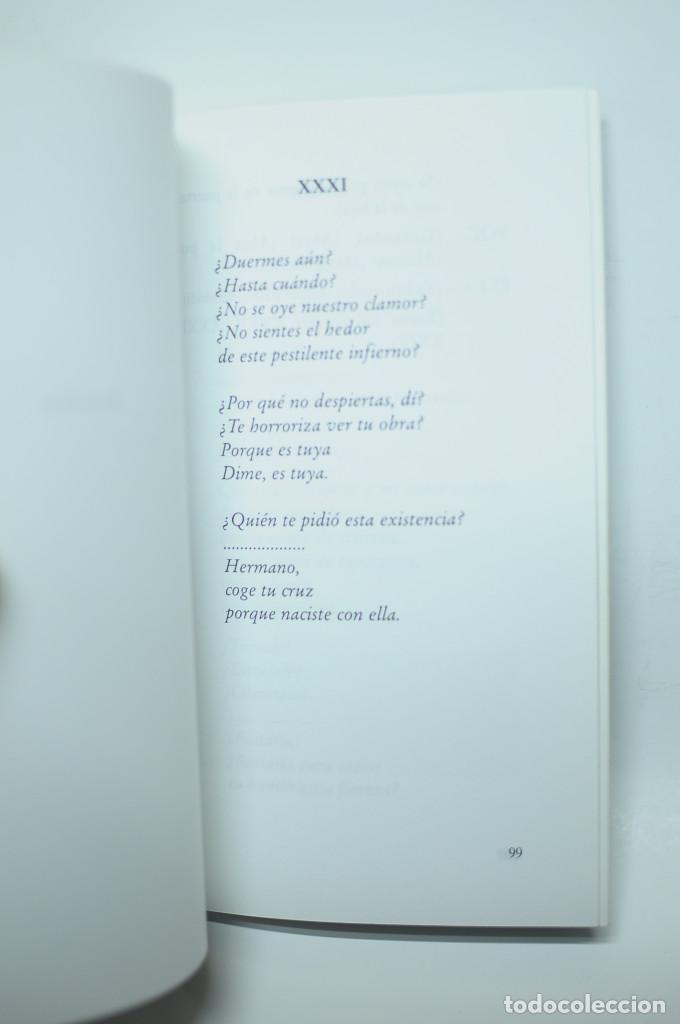 Libros: Poemas del dolor y la iron&iacute;a - M&Iacute;NGUEZ FRUTOS, Berta - Foto 4