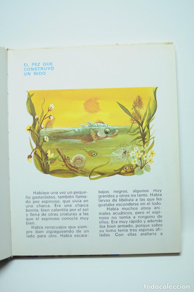 Libros: Cuentos de Enid Blyton - BLYTON, Enid - Foto 3